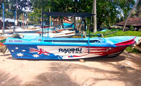 Boat Tours - Mirissa